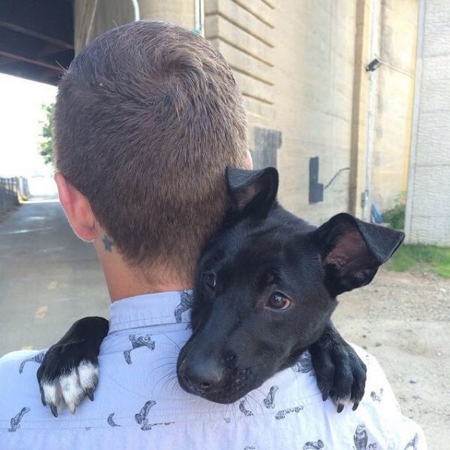 BarManMichael's profile picture. Just a small town girl, livin' in a lonely world...