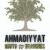 Roots to Branches (@roots_2branches) Twitter profile photo Roots to Branches (@roots_2branches) Twitter profile photo