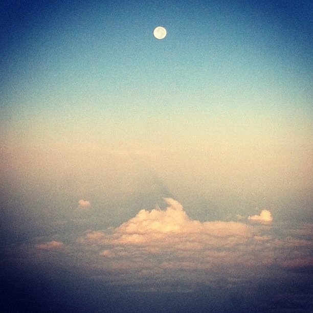 RileysTheorems's profile picture. Worlds' leading kid social-anthropologist. Only spectrum I'm on is Kick-ass, people. Note: please contact my biographer, Laura Lashley, with all queries.