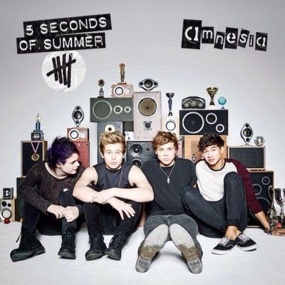 Follow @crazyboybalal if you want 5SOS to follow you! They direct message 5SOS everynight! You have more chance of getting followed by 5SOS!