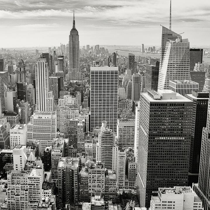 deepalpha1's profile picture. We Look To Provide interesting Stock Ideas, and topics to discuss