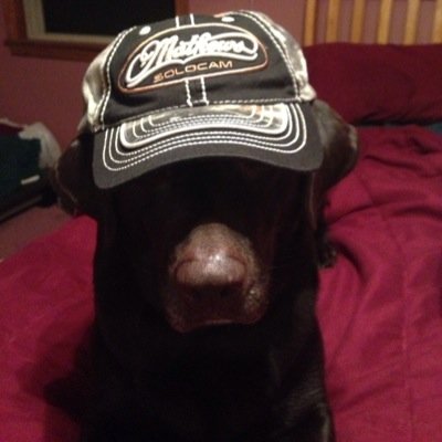 mikeblythe5's profile picture. 