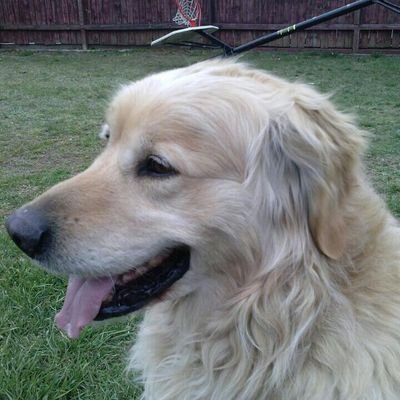 michele_taddeo_'s profile picture. 