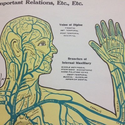 EmbalmerBee's profile picture. I love embalming!! And complaining about things. I'm a licensed Embalmer/Funeral Director and Certified Snarkypants.