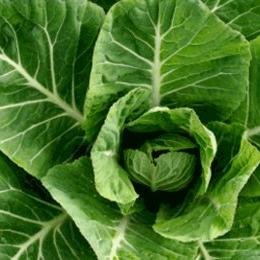 Sekoman6's profile picture. Ērtākais kredītu salīdzinājums Latvijā. Kredītu kalkulators, dažādas akcijas un aktuālākā informācija par kredītu industriju un ne tikai.