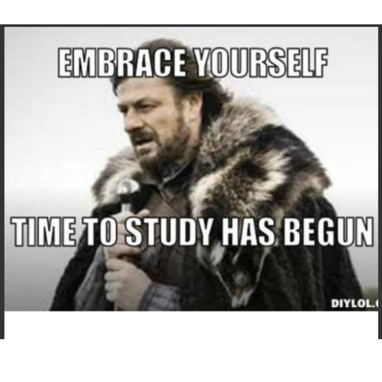 LCmemes_2015's profile picture. We're on the countdown now lads...