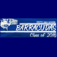 Blue Barracudas (@barracudas2016) 's Twitter Profile