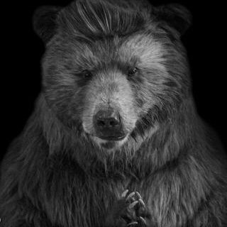 butchererrol's profile picture. 