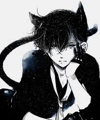 22 D: Neko Pokemon Trainer Taken by: @Zero_Akihiro_ J: Neko Bi Taken by: @TheDarkTrainer T: Normal Cat