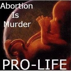 A womens womb is the safest place for a baby... or is it? The number of babies killed each year outnumbers those killed in the Holocaust during WW2. #Stand4Life