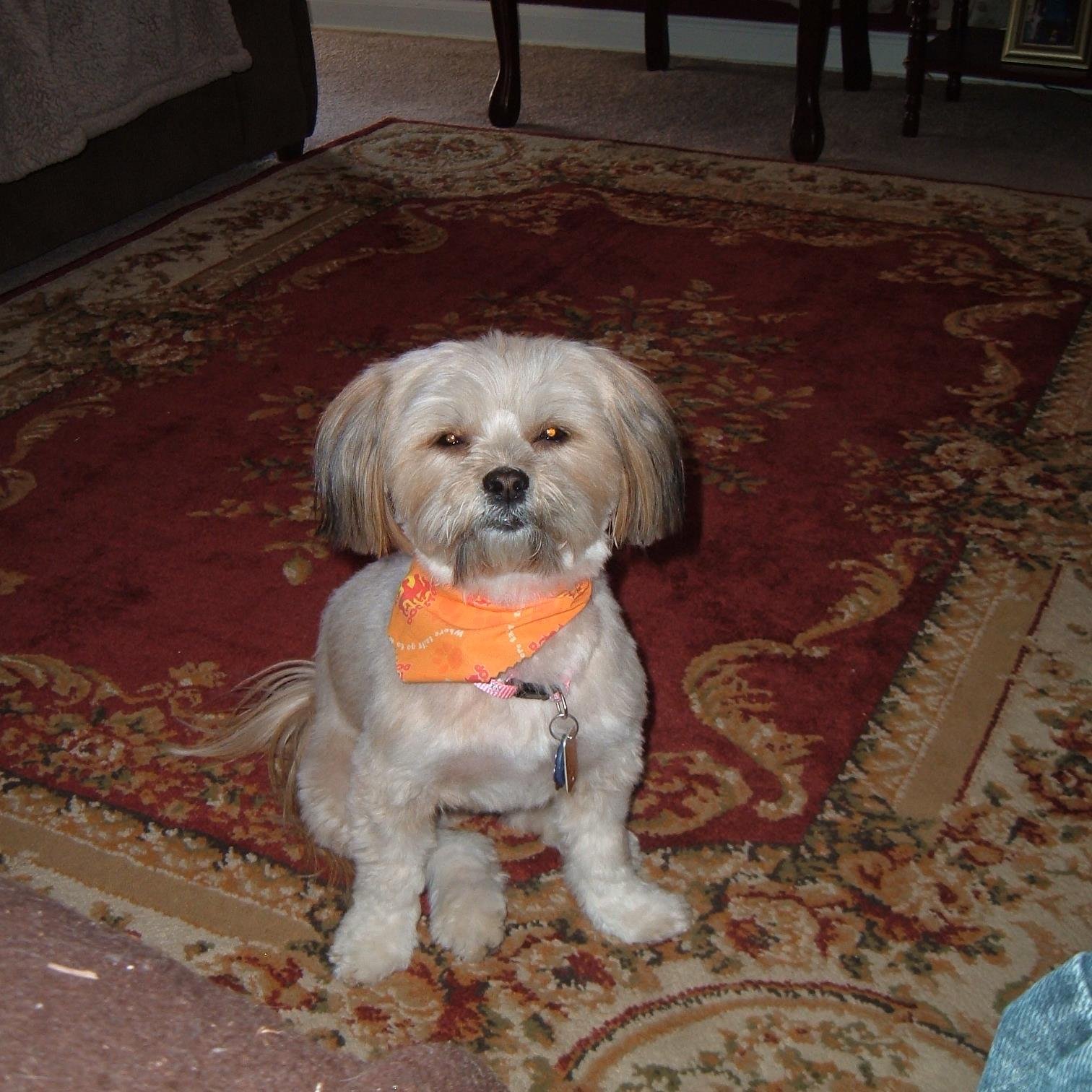 nsciulli1's profile picture. Works @ retired