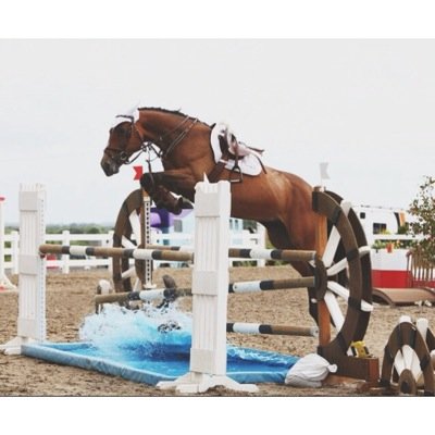 lowheels_'s profile picture. one time my mom told me i was a good rider