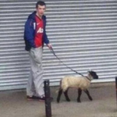 Maddocksboy's profile picture. Welsh disco dancing champion '93 '94 '95 '97. Ruled out in '96 for illegal use of the step 'nd slide! .