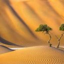 الكنترول (@00Mohammmed) Twitter