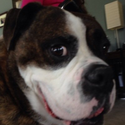 idenitittitheft's profile picture. 