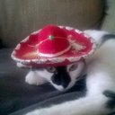 Traci Owens - @TraciO1974 - Twitter