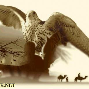 bo_dbsa's profile picture. ‏تم الغاء الحساب