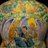 825Charles's profile image