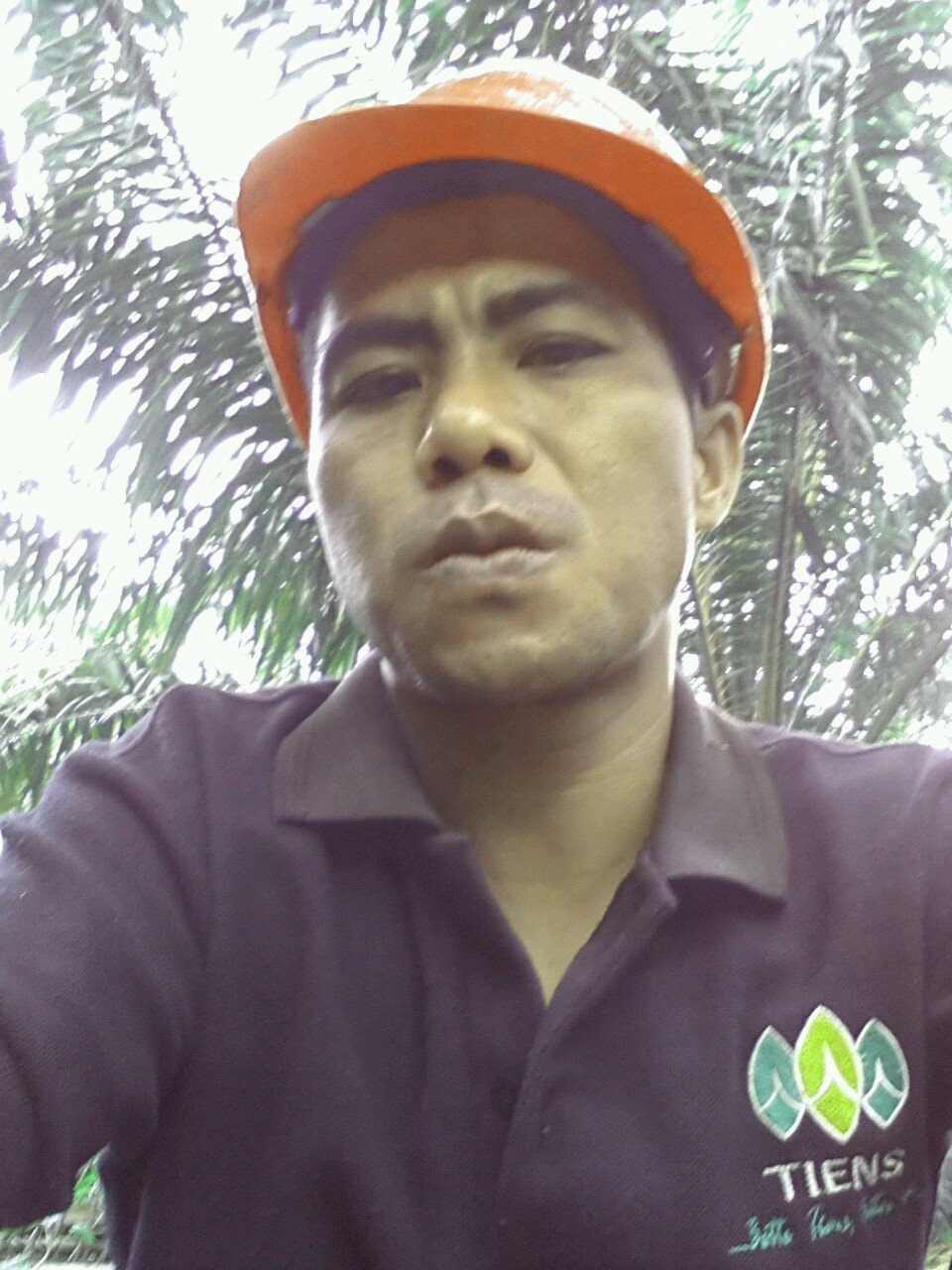 samsungnote2399's profile picture. 