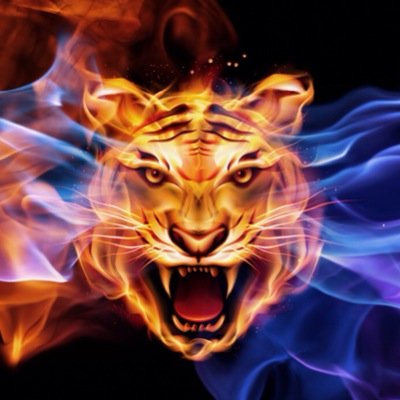 iExtronic's profile picture. 