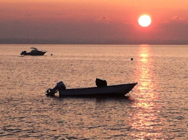 AmandaPutnam4's profile picture. I am and always will be the optimist, the hoper of far-flung hopes and the dreamer of improbable dreams.