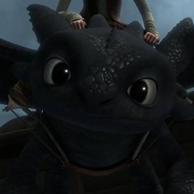 I'm a nightfury who's missing half his tail. Hiccup saved me and made me a new tail so I can fly with him. Rider: @HowToBeChief