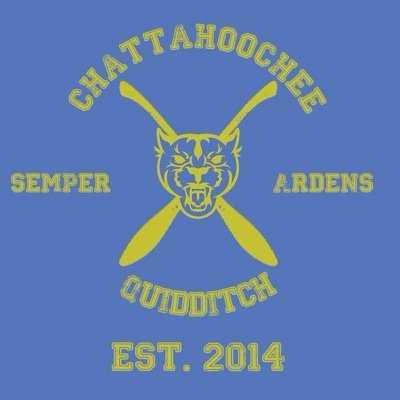 The Hooch Quidditch team, we meet every Thursday in D102 at 3:45