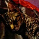 Savannah Ali - @wierdgirl_15 - Twitter