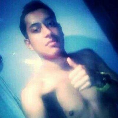 whatsapp: 3012661091