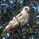 Donna Mak - @donnabmak - Twitter