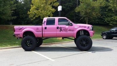 2004 ford f250 dedicated to all the breast cancer survivor's and to those who has lost the fight!
