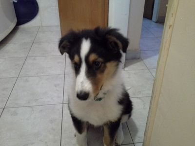 PaoloCroci5's profile picture. Todo se aprende pero nunca alcanza