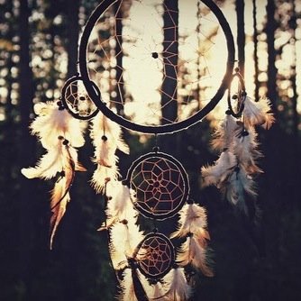 If you would like to use an avi, please dm me. Account ran by @_CoveredByGrace