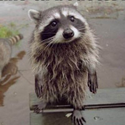 magickeven99's profile picture. 