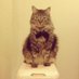 jesse thorson (@jthova) Twitter profile photo