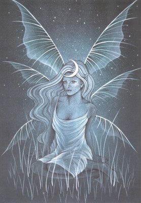 Tanu_T's profile picture. Just Chilling