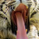 Ruth Braddock - @RuthBraddock - Twitter