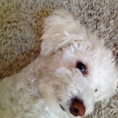 CainvbMichelle's profile picture. 