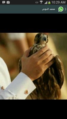‏‏‏‏‏‏‏‏سبحان الله وبحمده سبحان الله العظيم
