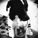 Julia Dunham - @jmbdunham - Twitter