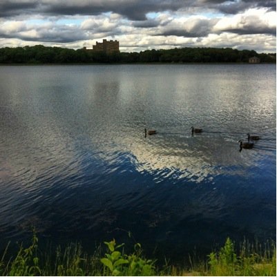 Greycliffblog's profile picture. 