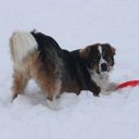 Anne Denny-Floyd - @AnneDennyFloyd - Twitter