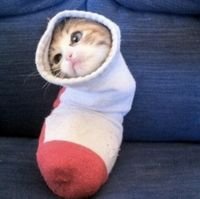 no