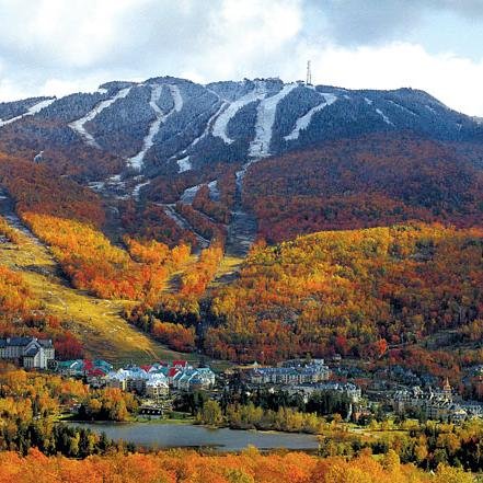 tremblant2k15's profile picture. GRADE 11 S-Trip Organizers! Follow @vikmilcovaa , @riely_rodrigues and @jxrvd ! DM US FOR INFO!