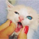 MNOSH.1199 (@1199Mshw) Twitter