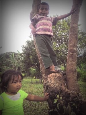 6753091010a549c's profile picture. 