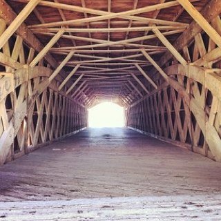 ChildWelfare's profile picture. Passionate child welfare advocate tweeting about all things related. Follow me for the latest, up to date info on all things child welfare!