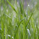 Dilip Ghosh (BAPPI) - @bappi1289 - Twitter