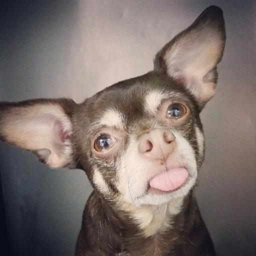 paulgilbert's profile picture. I create fragrances for urinal cakes.