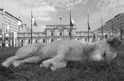 cbs_zama's profile picture. 